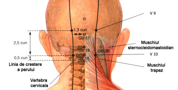 Masajul bioenergetic al scalpului